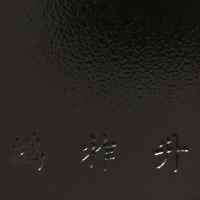導電黑皺紋（wén）